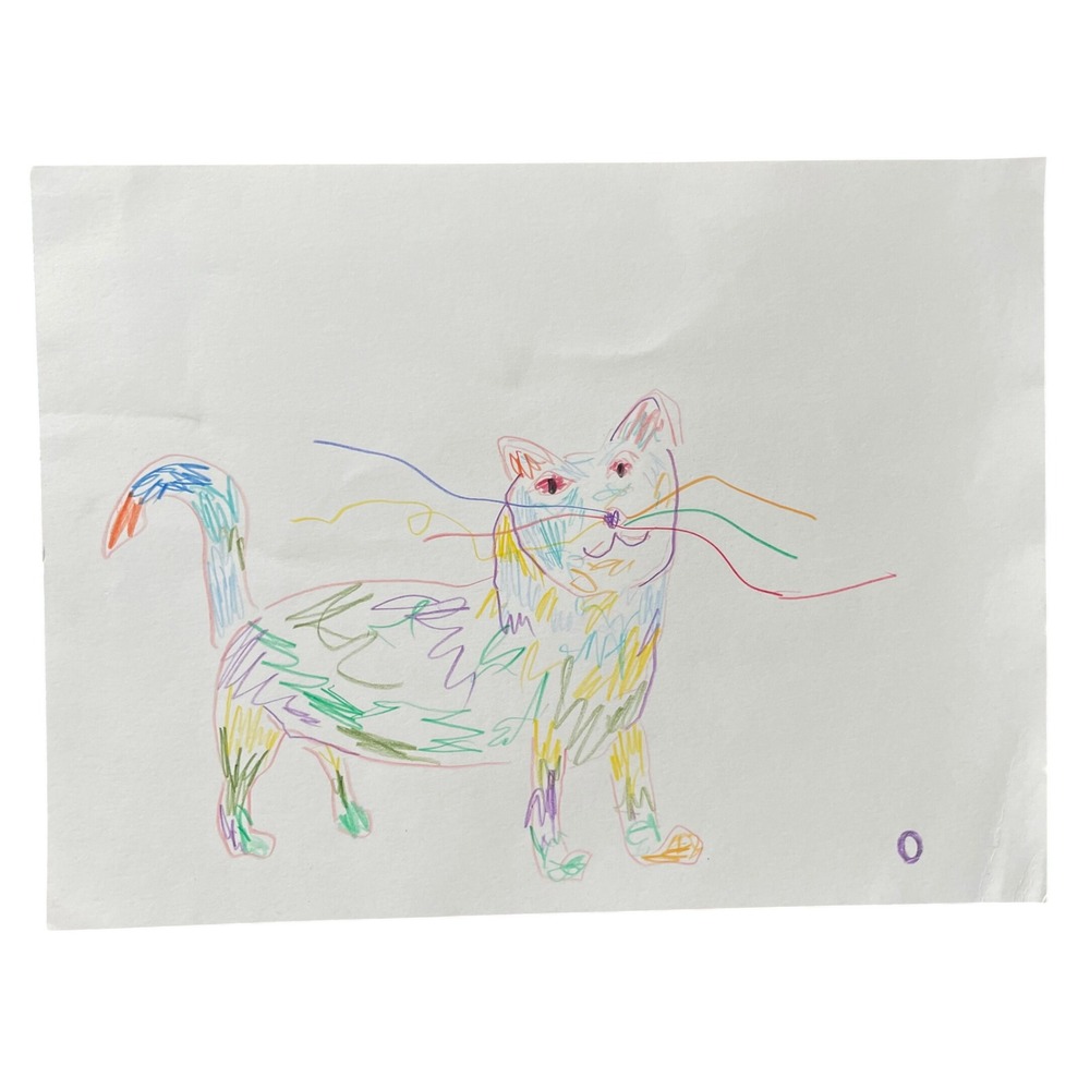 Original Rainbow Cat Scribble Drawing Hand Drawn Animal Folk Art 12x9